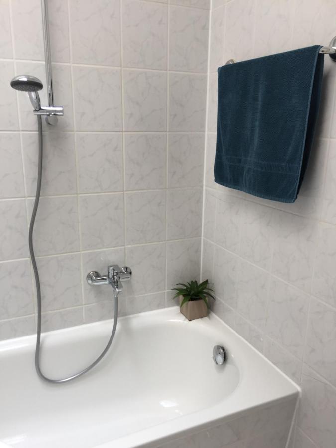 Zwillingsperlen Leutzsch - Appartement Villenblick لبسيا المظهر الخارجي الصورة